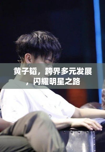 黄子韬,跨界多元发展,闪耀明星之路