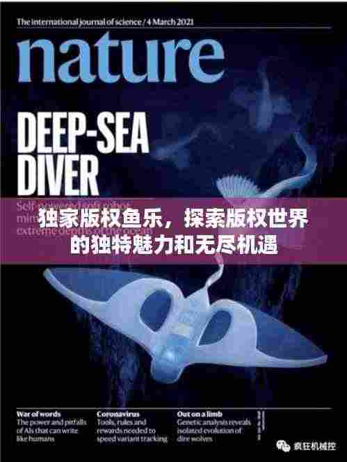 独家版权鱼乐,探索版权世界的独特魅力和无尽机遇