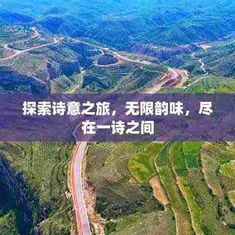 探索诗意之旅,无限韵味,尽在一诗之间