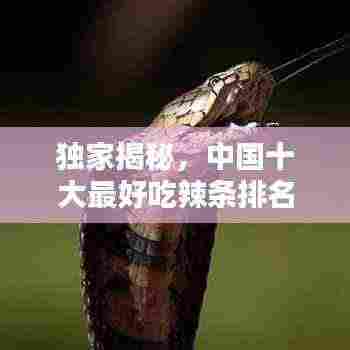 独家揭秘,中国十大最好吃辣条排名榜单!