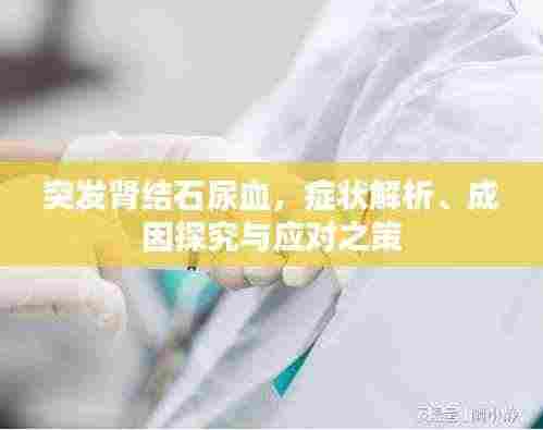 突发肾结石尿血，症状解析、成因探究与应对之策
