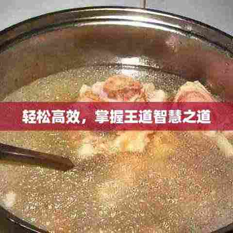 轻松高效,掌握王道智慧之道