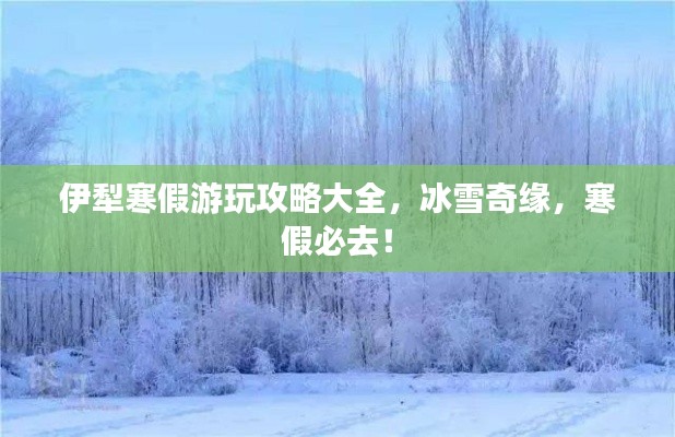 伊犁寒假游玩攻略大全，冰雪奇缘，寒假必去！