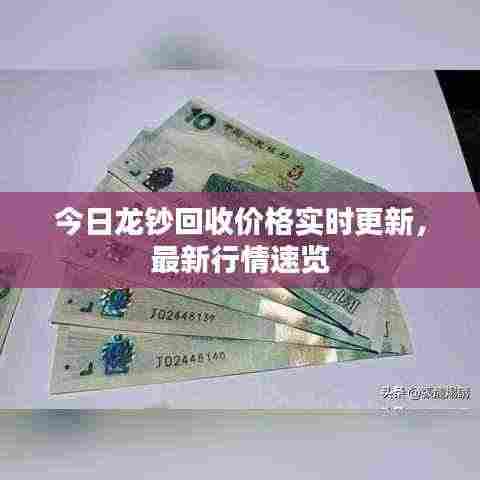 今日龙钞回收价格实时更新,最新行情速览