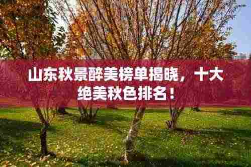 山东秋景醉美榜单揭晓,十大绝美秋色排名!