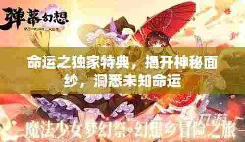 命运之独家特典,揭开神秘面纱,洞悉未知命运