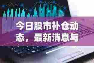 今日股市补仓动态,最新消息与操作策略