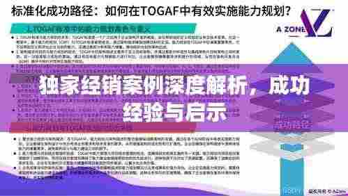 独家经销案例深度解析,成功经验与启示