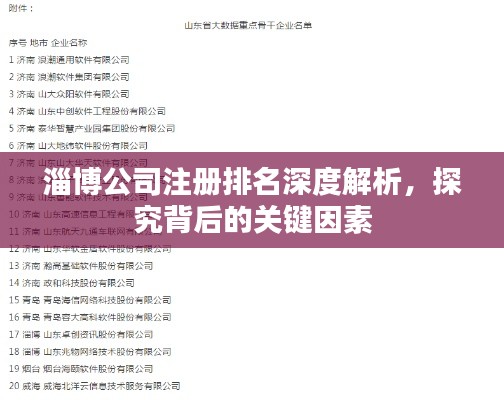 淄博公司注册排名深度解析，探究背后的关键因素