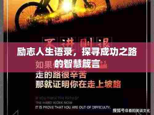 手舞足蹈 第3页