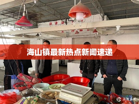 海山镇最新热点新闻速递