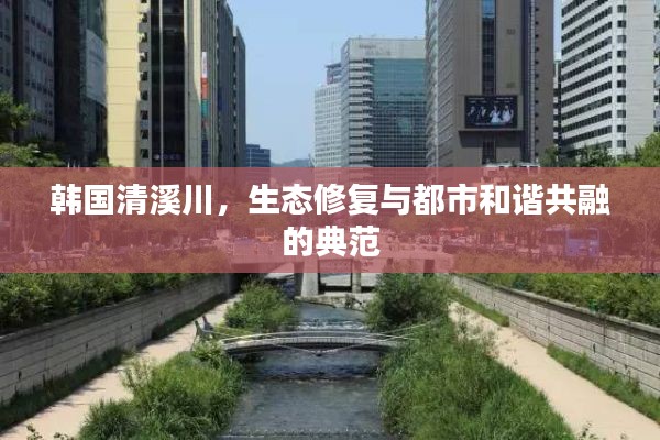 韩国清溪川,生态修复与都市和谐共融的典范