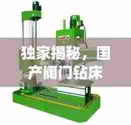 独家揭秘,国产阀门钻床市场十大品牌榜单!