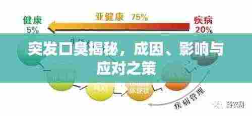 衣不兼彩 第3页