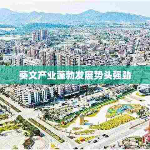 葵文产业蓬勃发展势头强劲