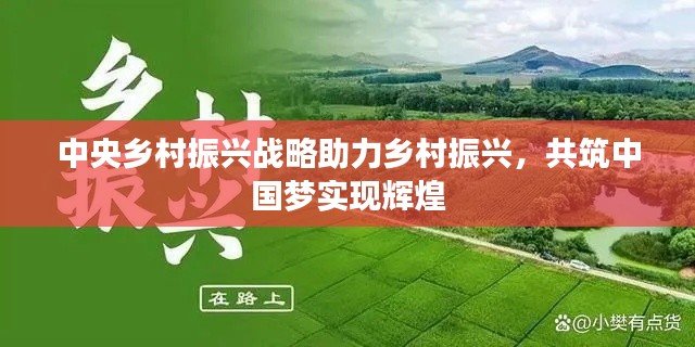 中央乡村振兴战略助力乡村振兴,共筑中国梦实现辉煌