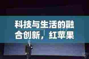 全始全终 第3页