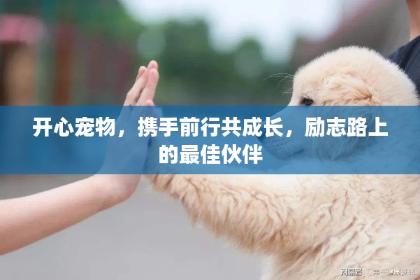 开心宠物，携手前行共成长，励志路上的最佳伙伴