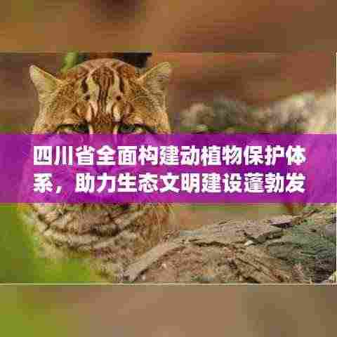 四川省全面构建动植物保护体系,助力生态文明建设蓬勃发展