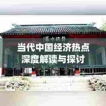 当代中国经济热点深度解读与探讨