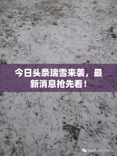 风流潇洒 第2页