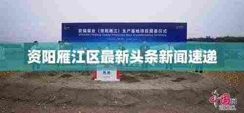 资阳雁江区最新头条新闻速递