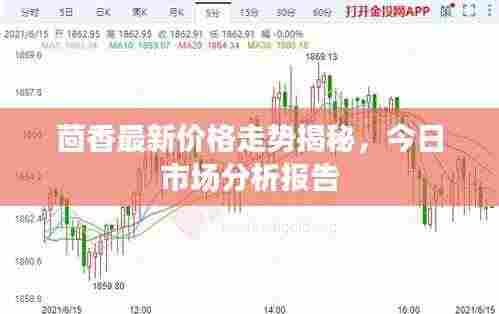 茴香最新价格走势揭秘，今日市场分析报告