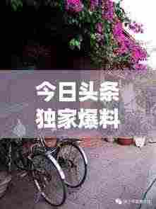 今日头条独家爆料，娇姐最新动态揭秘