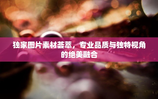 独家图片素材荟萃,专业品质与独特视角的绝美融合