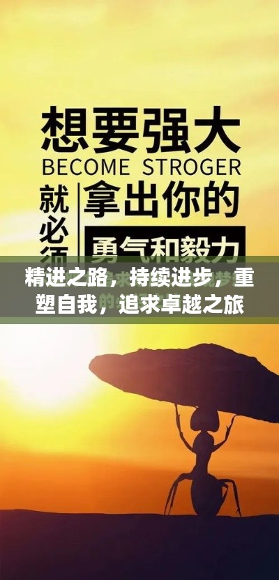精进之路,持续进步,重塑自我,追求卓越之旅