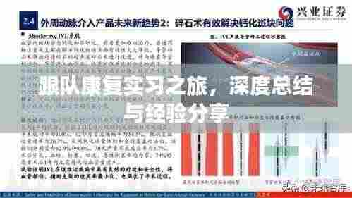 跟队康复实习之旅,深度总结与经验分享