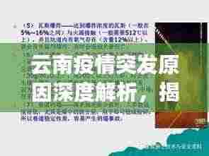 云南疫情突发原因深度解析,揭秘背后的真相