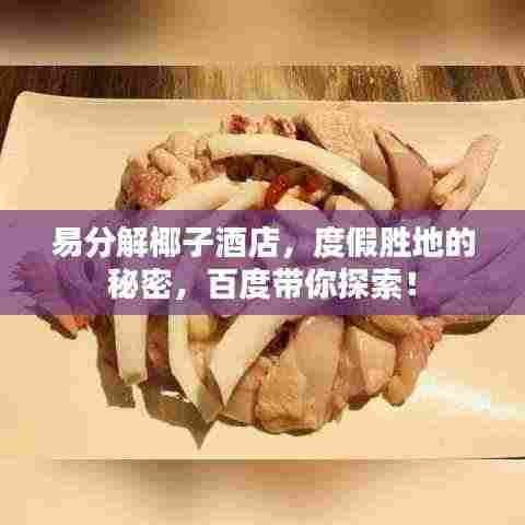 易分解椰子酒店,度假胜地的秘密,百度带你探索!