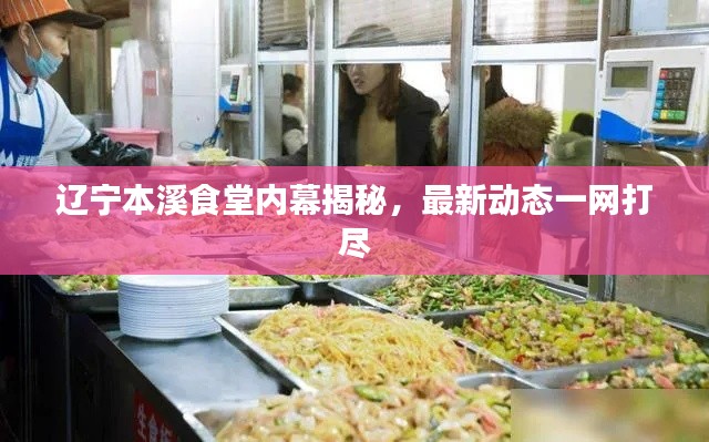 辽宁本溪食堂内幕揭秘,最新动态一网打尽