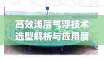 高效浅层气浮技术选型解析与应用展望，应用前景及选型指南