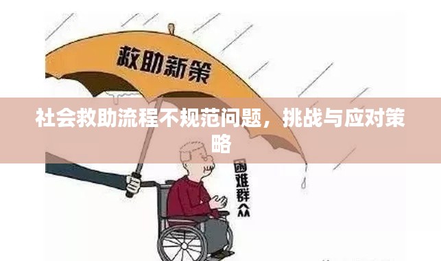社会救助流程不规范问题，挑战与应对策略
