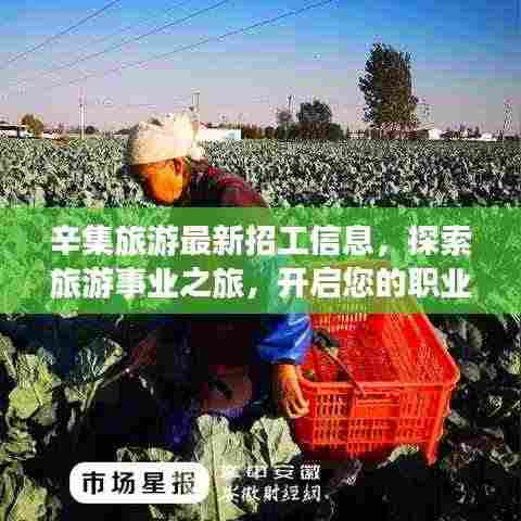 辛集旅游最新招工信息,探索旅游事业之旅,开启您的职业梦想之旅!