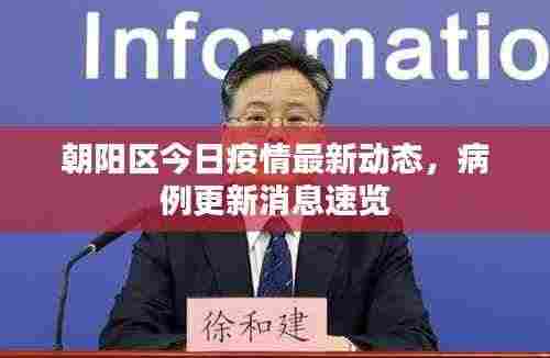 朝阳区今日疫情最新动态,病例更新消息速览