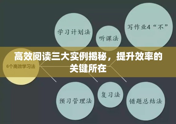高效阅读三大实例揭秘,提升效率的关键所在