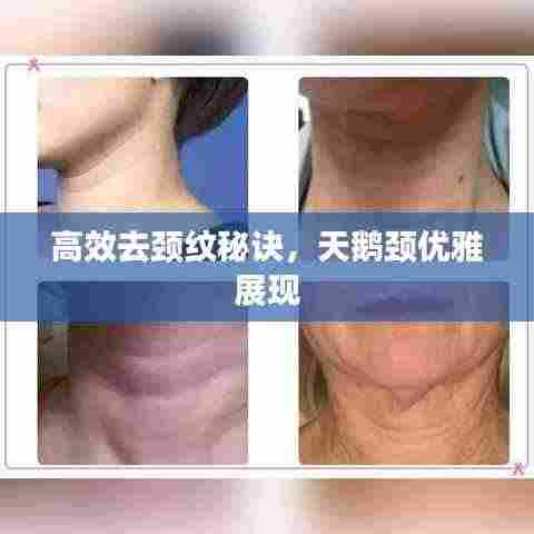 逆风飞扬 第2页