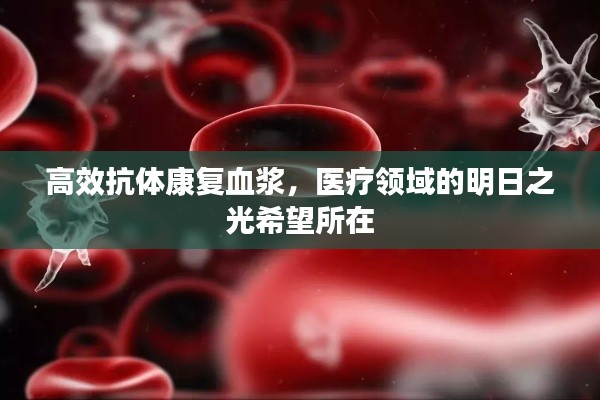 高效抗体康复血浆,医疗领域的明日之光希望所在