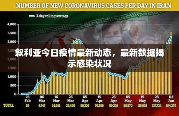 叙利亚今日疫情最新动态，最新数据揭示感染状况