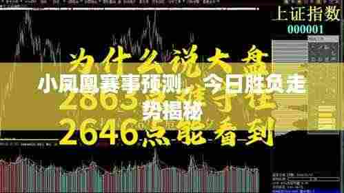 小凤凰赛事预测,今日胜负走势揭秘