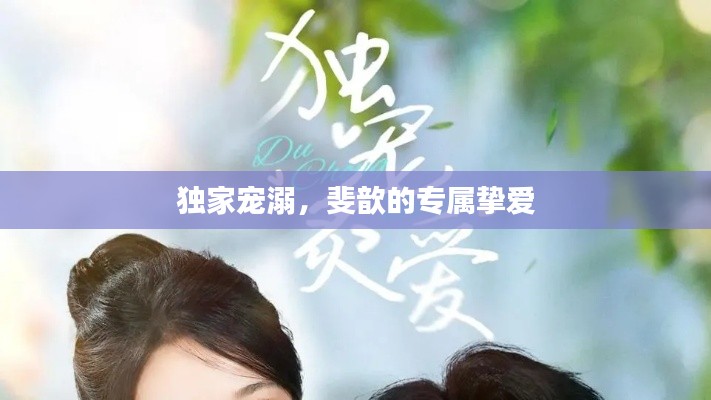 采椽不斫 第2页