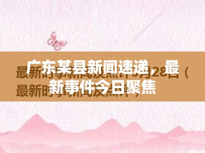 广东某县新闻速递，最新事件今日聚焦