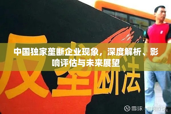 中国独家垄断企业现象,深度解析、影响评估与未来展望