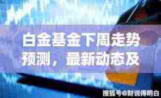 白金基金下周走势预测，最新动态及深度解读