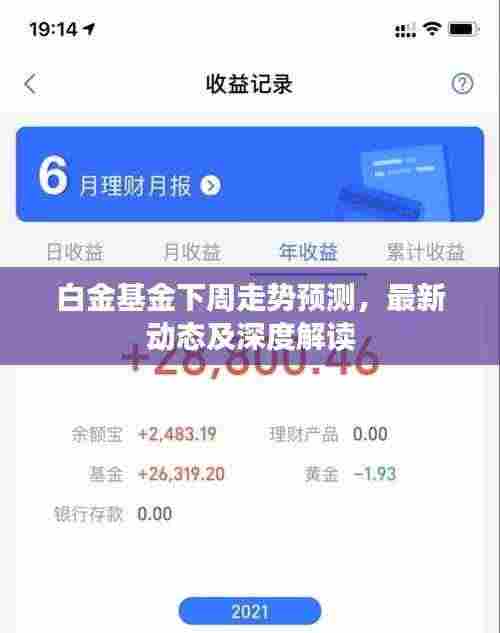白金基金下周走势预测,最新动态及深度解读