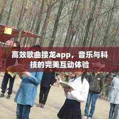 高效歌曲接龙app，音乐与科技的完美互动体验