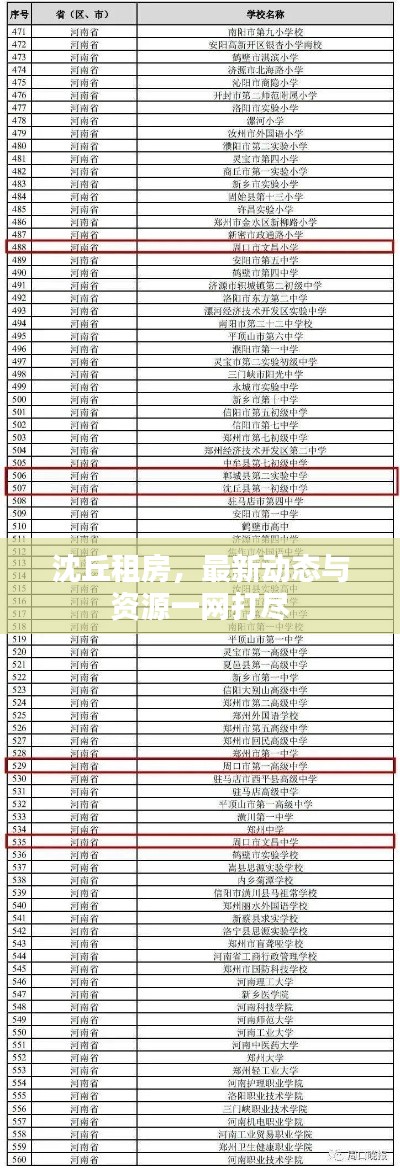 沈丘租房,最新动态与资源一网打尽